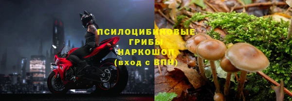 каннабис Горно-Алтайск