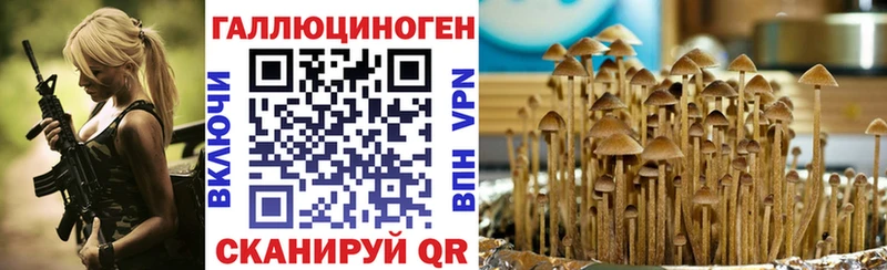 кракен ONION Юрга Галлюциногенные грибы GOLDEN TEACHER